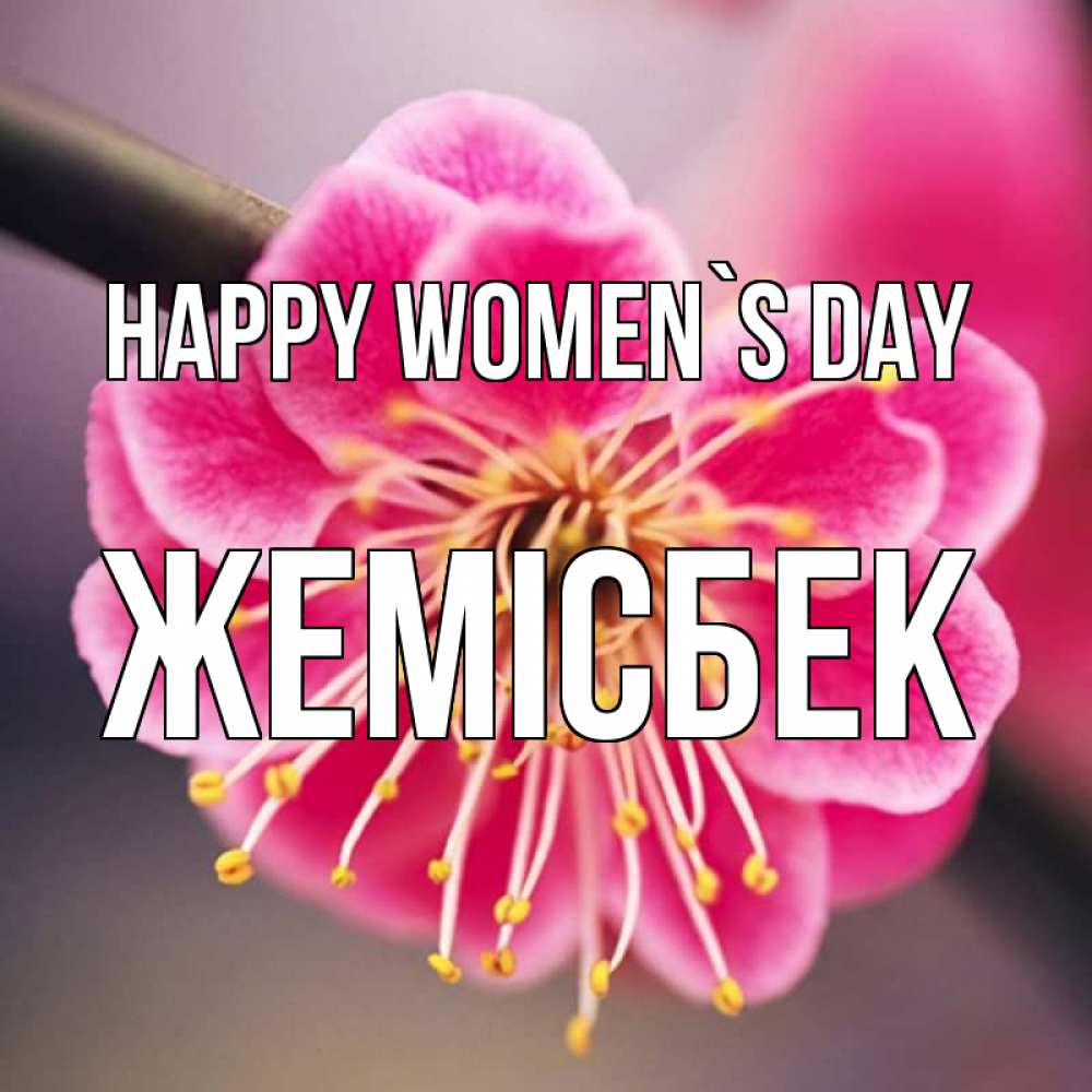 Greetings card с именем, Жемісбек happy women`s day цветы Greetings with text for free download 